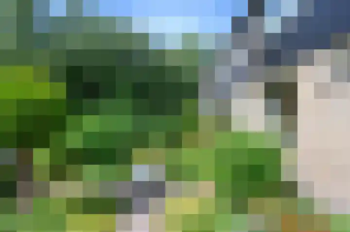 Cornelis Dopperlaan 10 Dieren thumbnail 39