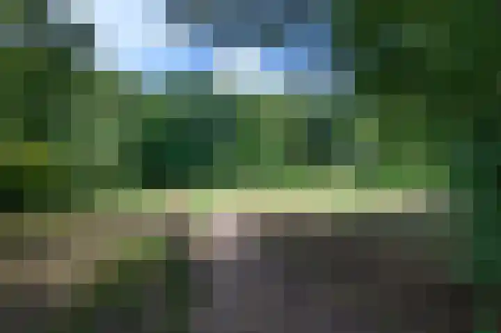 Cornelis Dopperlaan 10 Dieren thumbnail 43