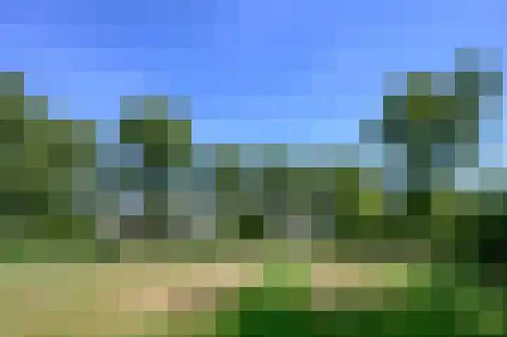 Cornelis Dopperlaan 10 Dieren thumbnail 44