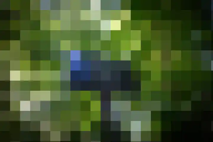 Cornelis Dopperlaan 10 Dieren thumbnail 45
