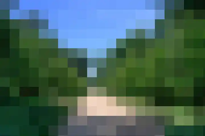 Cornelis Dopperlaan 10 Dieren thumbnail 46