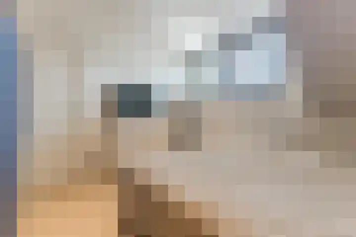 Cornelis Dopperstraat 17 Eindhoven thumbnail 18