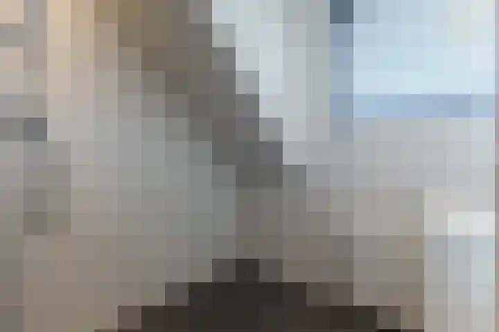 Cornelis Dopperstraat 17 Eindhoven thumbnail 20