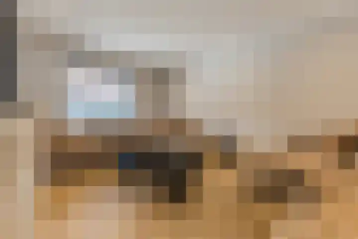 Cornelis Dopperstraat 17 Eindhoven thumbnail 4