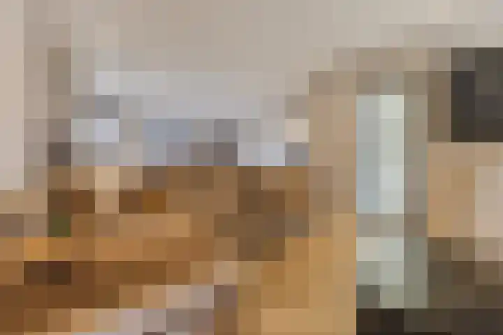 Cornelis Dopperstraat 17 Eindhoven thumbnail 5