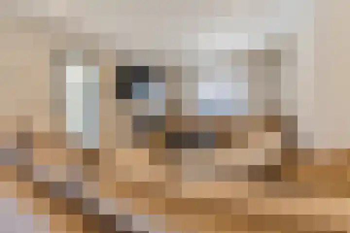 Cornelis Dopperstraat 17 Eindhoven thumbnail 6