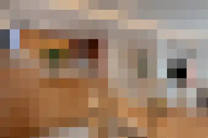 Cornelis Dopperstraat 42 Eindhoven thumbnail 12