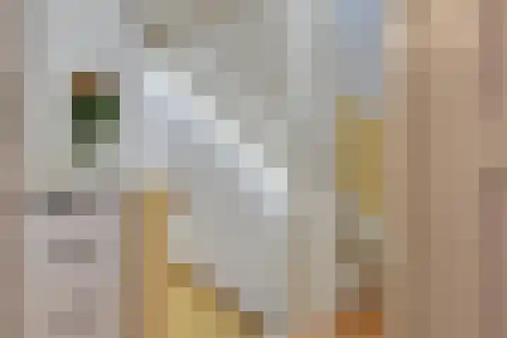 Cornelis Dopperstraat 42 Eindhoven thumbnail 15
