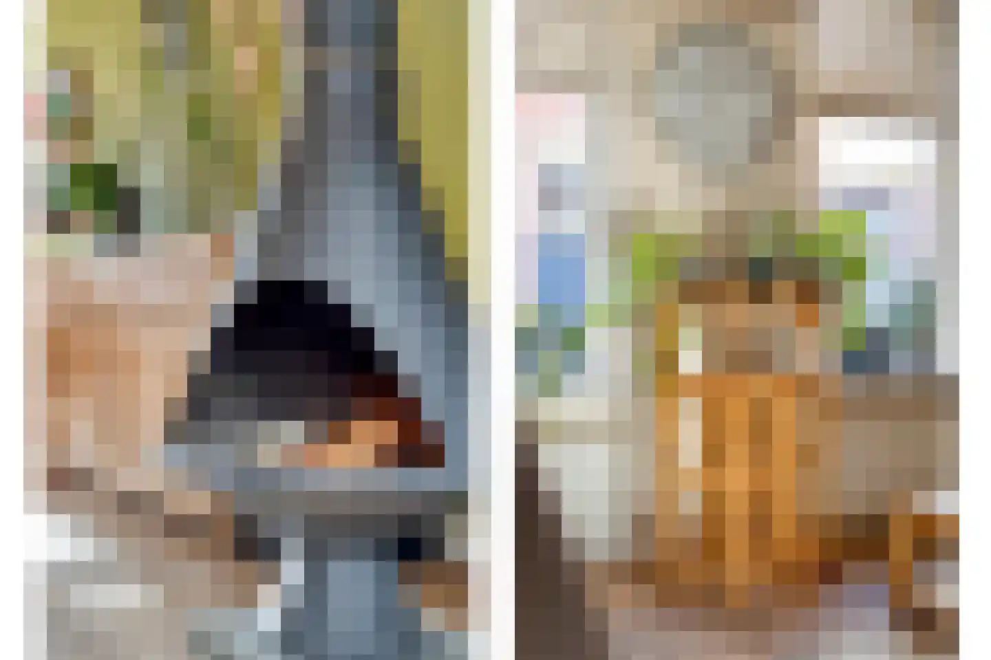 Cornelis Eversdijkstraat 19 Goes thumbnail 10