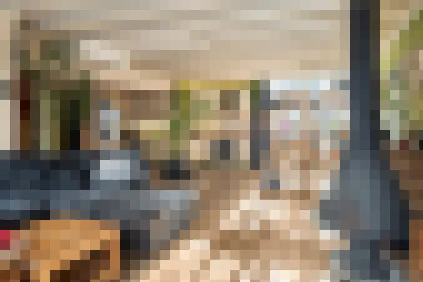 Cornelis Eversdijkstraat 19 Goes thumbnail 11
