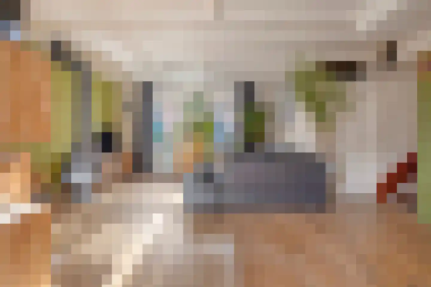 Cornelis Eversdijkstraat 19 Goes thumbnail 14