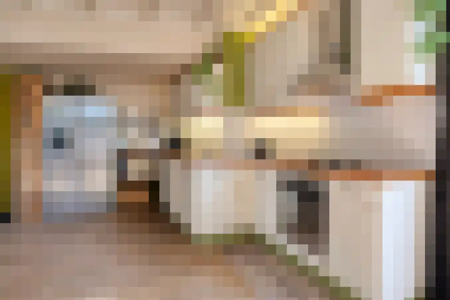 Cornelis Eversdijkstraat 19 Goes thumbnail 15