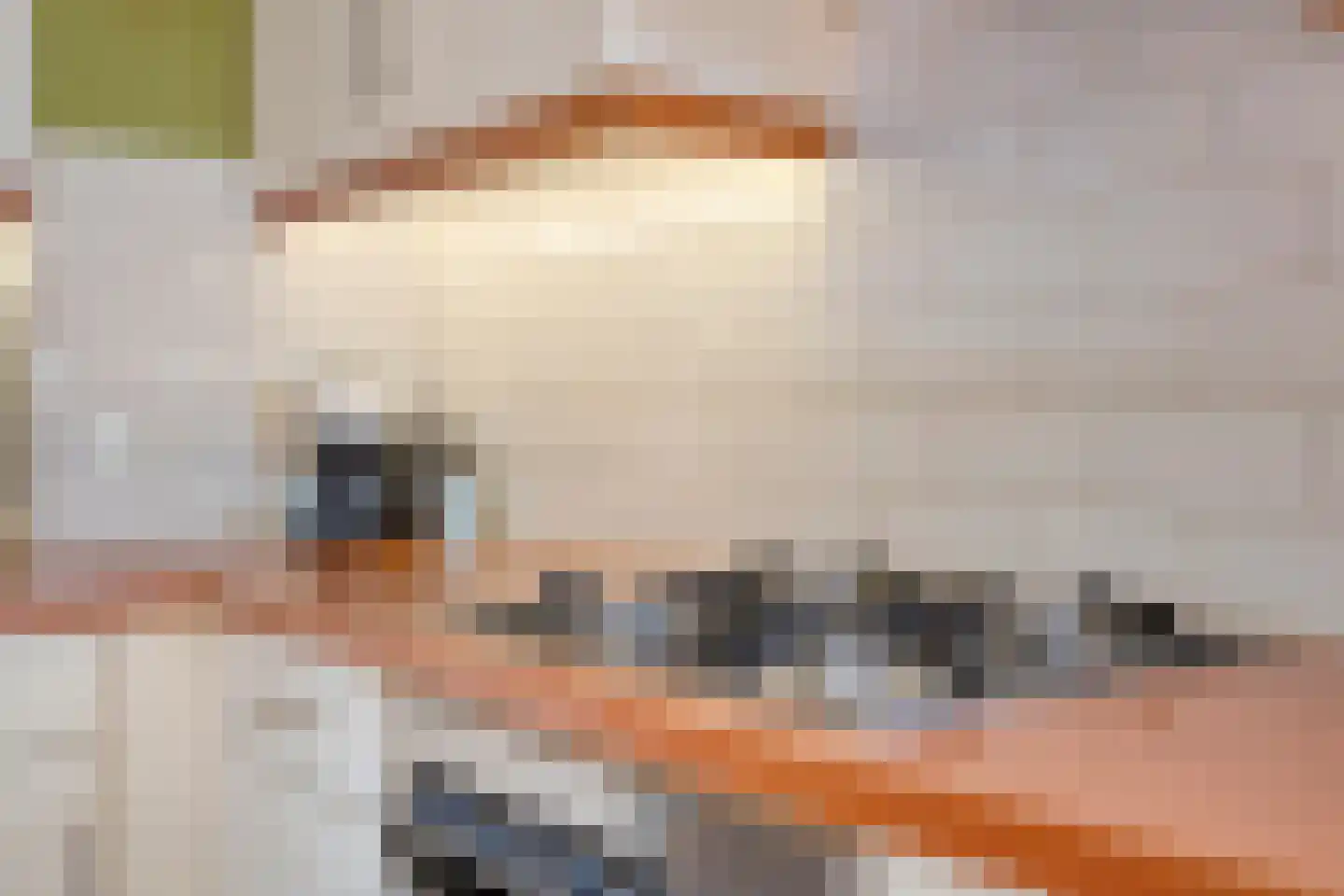 Cornelis Eversdijkstraat 19 Goes thumbnail 16