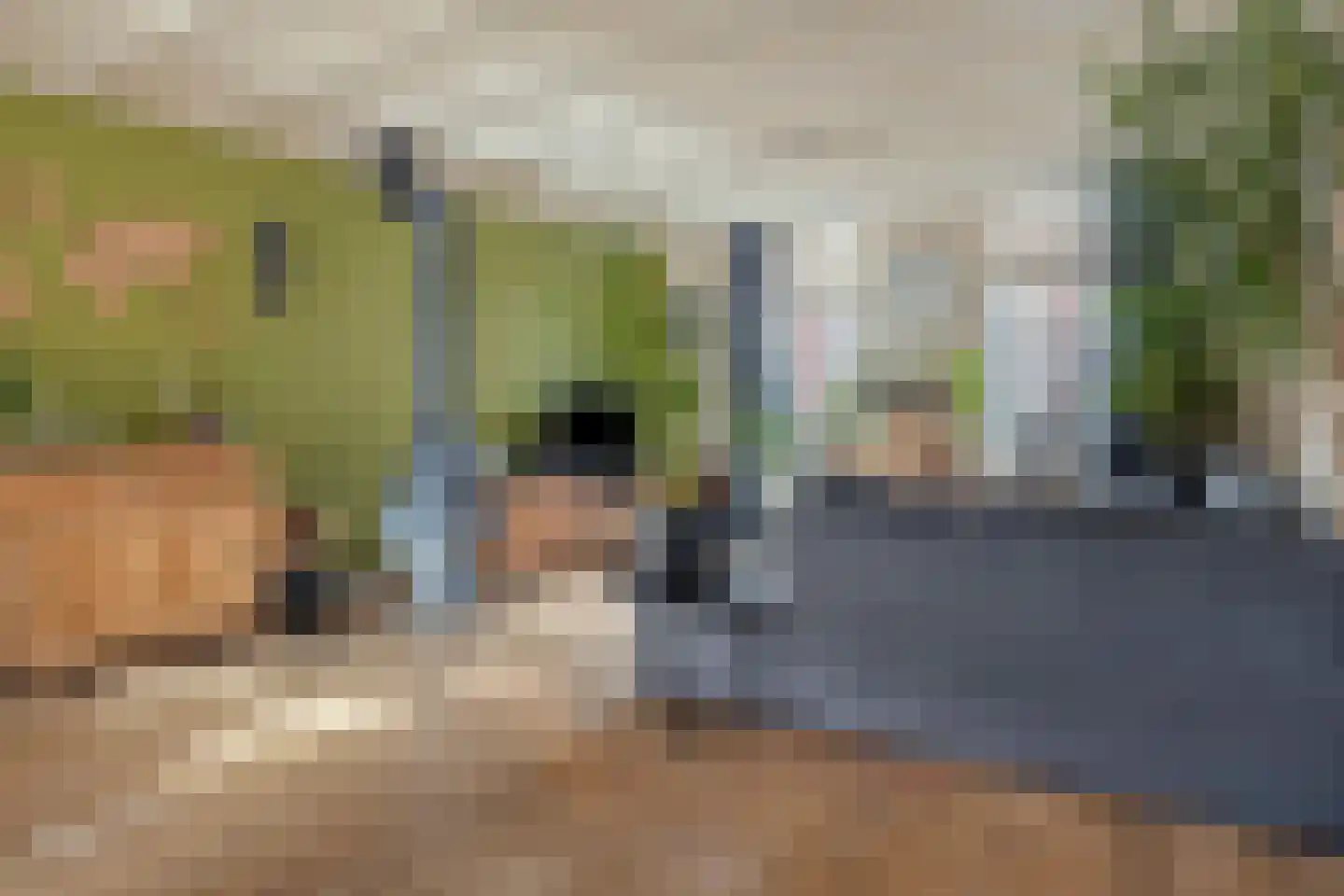 Cornelis Eversdijkstraat 19 Goes foto 2