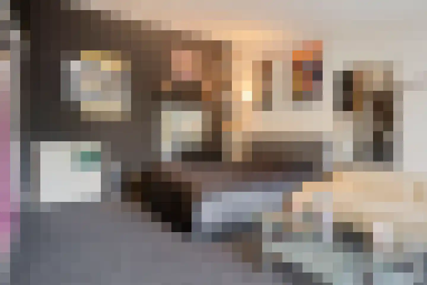 Cornelis Eversdijkstraat 19 Goes thumbnail 25
