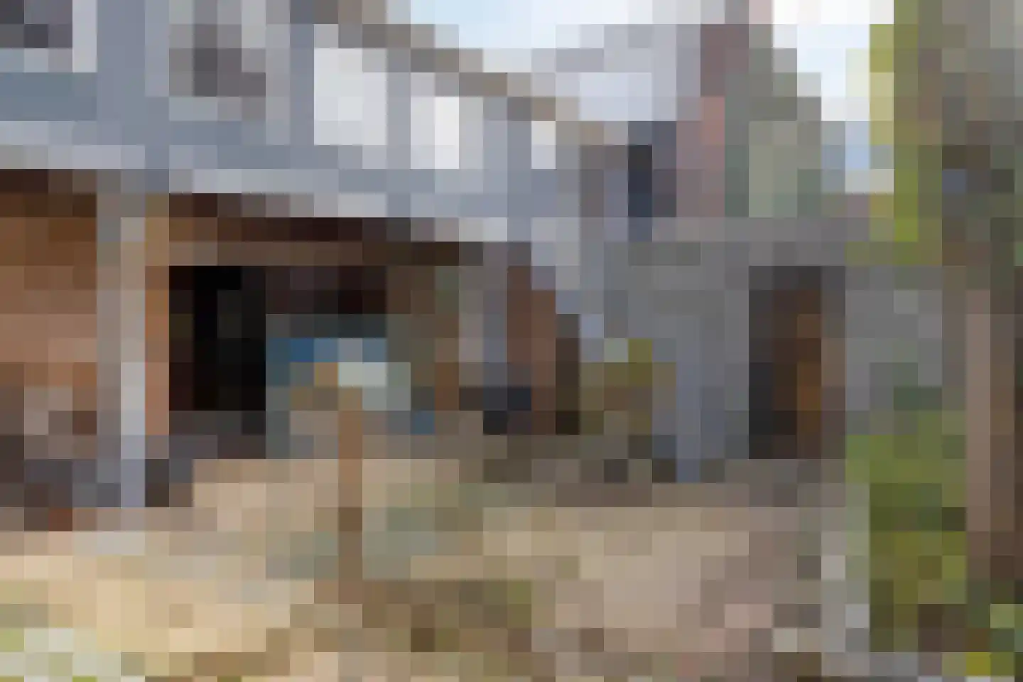 Cornelis Eversdijkstraat 19 Goes thumbnail 28