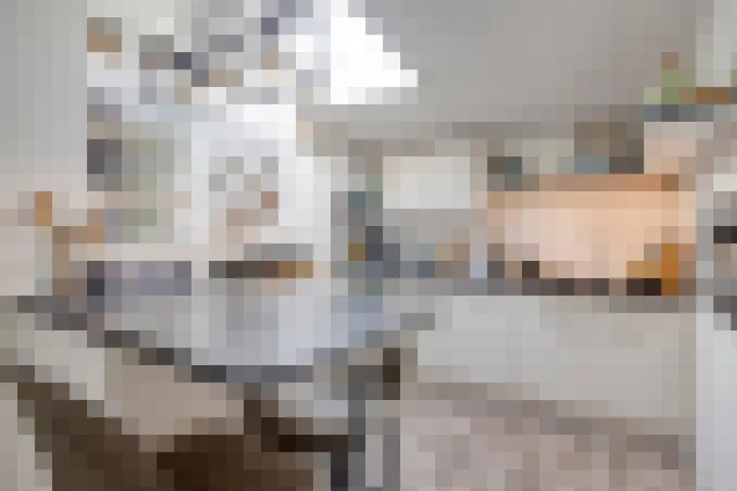 Cornelis Eversdijkstraat 19 Goes foto 3