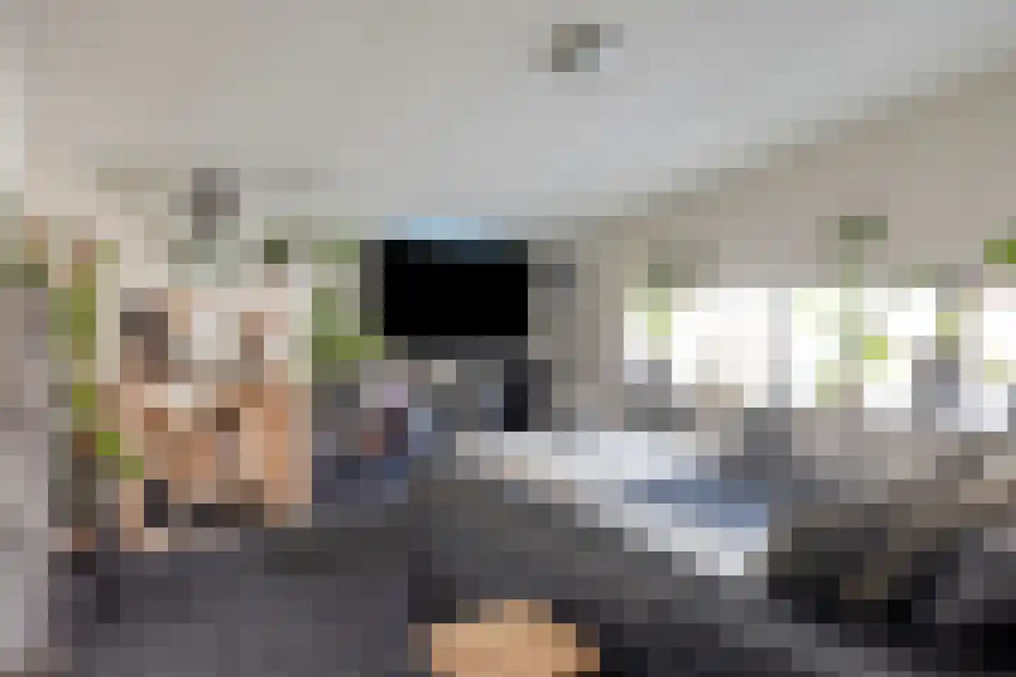 Cornelis Eversdijkstraat 19 Goes thumbnail 37