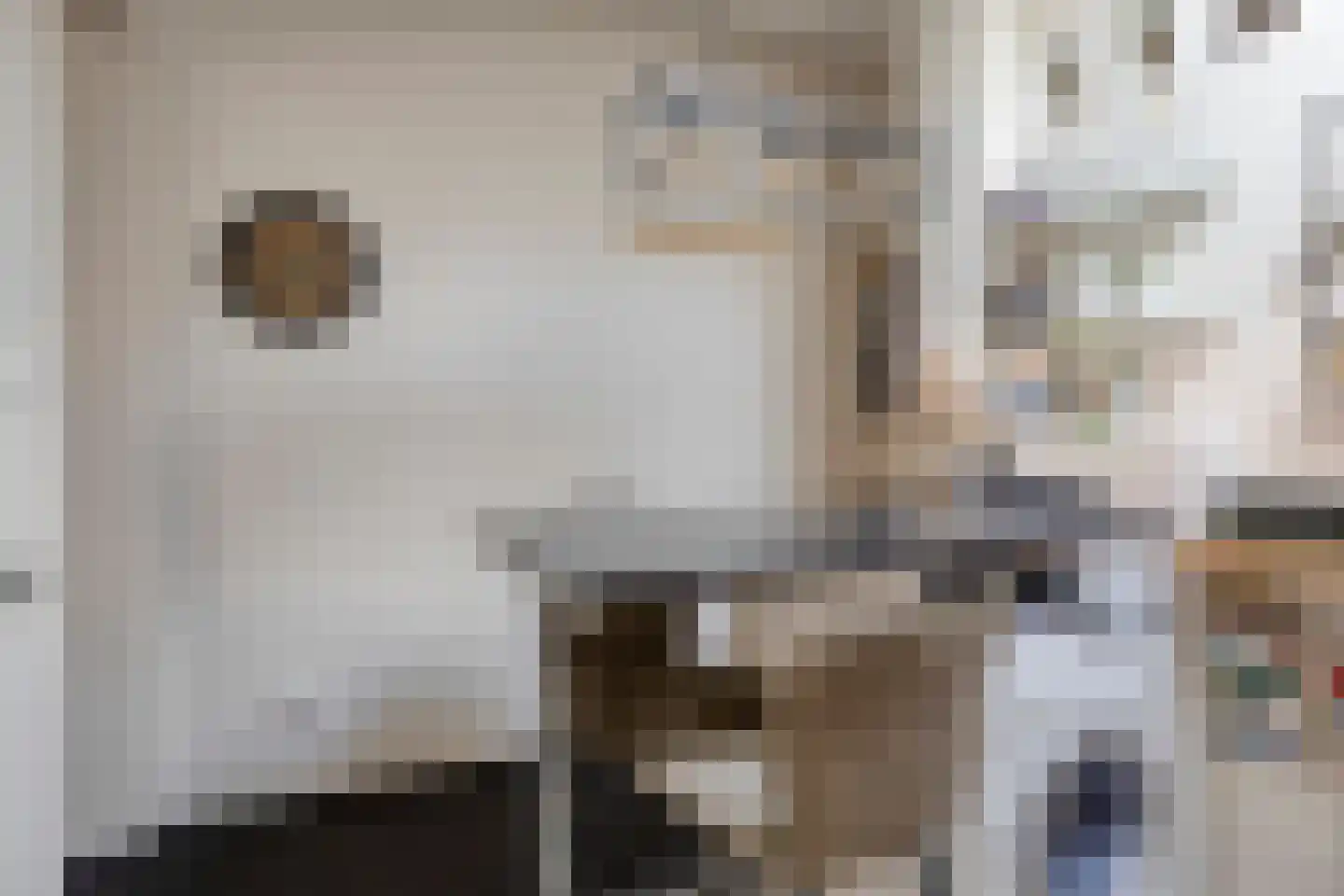 Cornelis Eversdijkstraat 19 Goes thumbnail 39