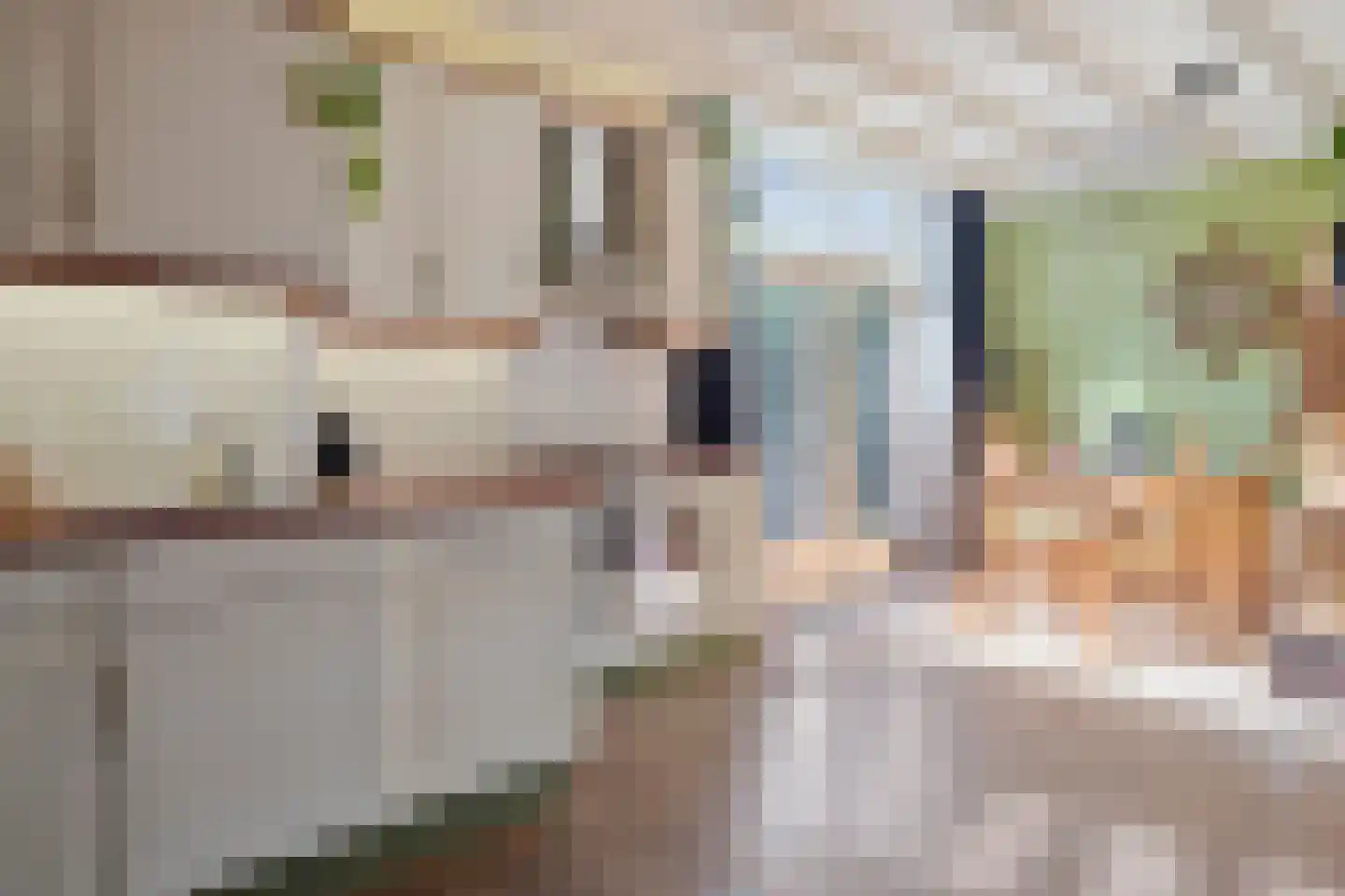 Cornelis Eversdijkstraat 19 Goes thumbnail 4
