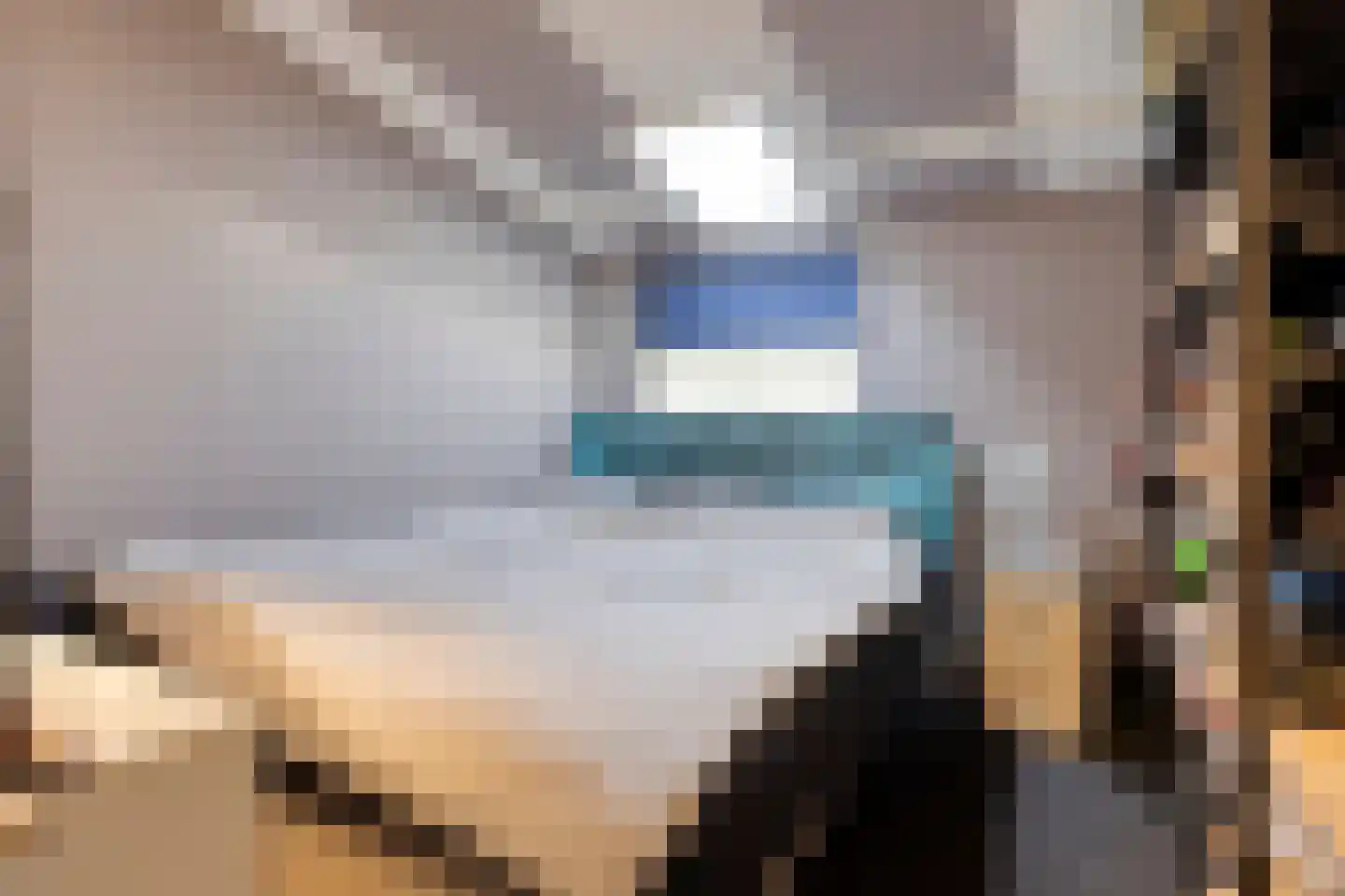 Cornelis Eversdijkstraat 19 Goes thumbnail 40