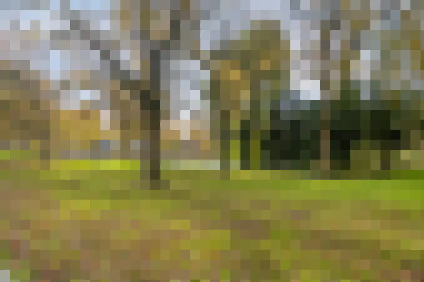 Cornelis Eversdijkstraat 19 Goes thumbnail 46