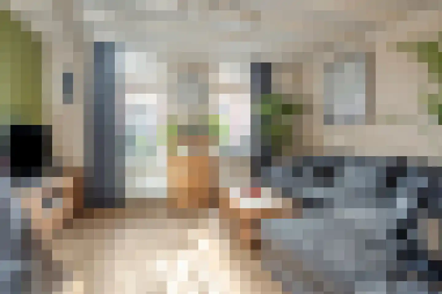 Cornelis Eversdijkstraat 19 Goes thumbnail 8