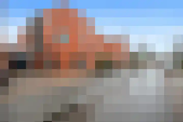 Cornelis Jetseslaan 7 Veendam thumbnail 43