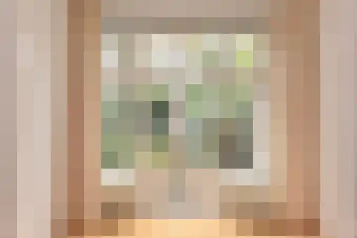 Cornelis Jolstraat 32 Den Haag thumbnail 17