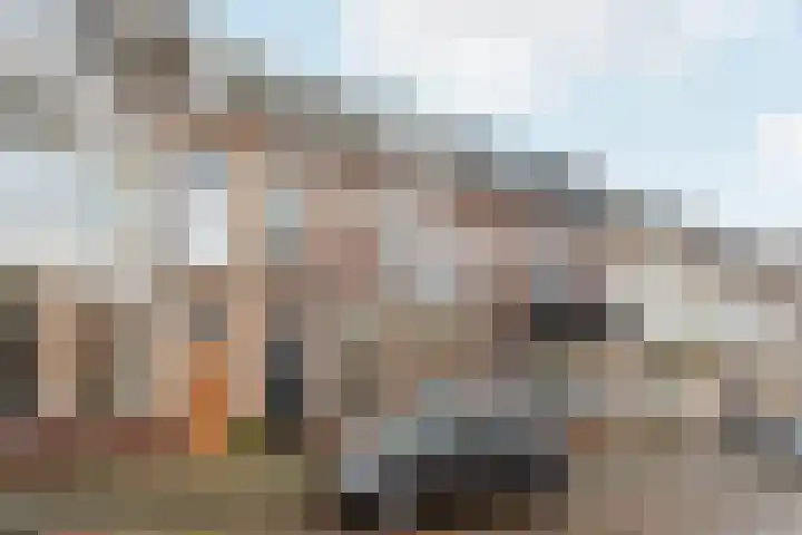 Cornelis Jolstraat 32 Den Haag thumbnail 6