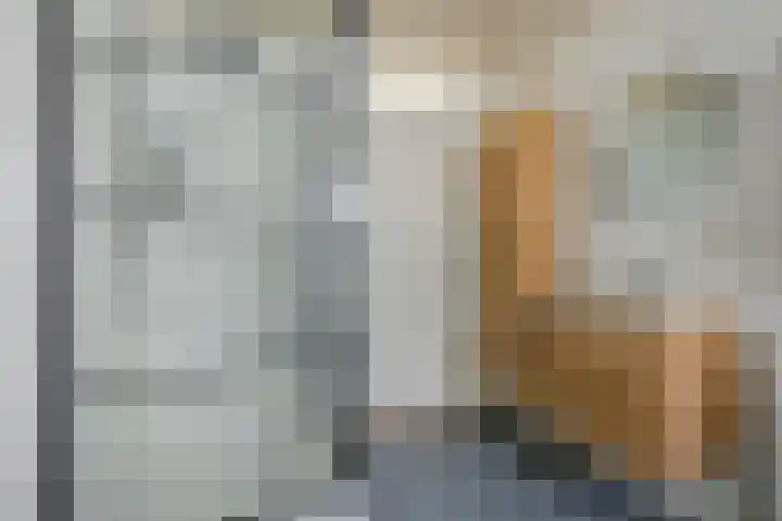 Cornelis Jolstraat 32 Oss thumbnail 28