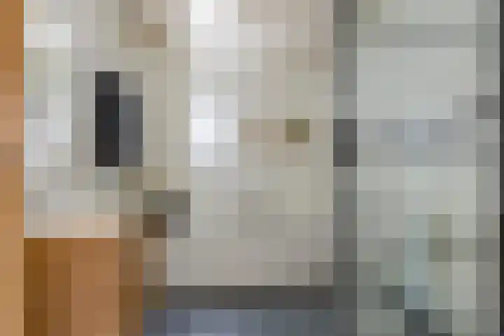 Cornelis Jolstraat 32 Oss thumbnail 4