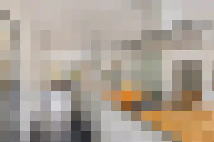 Cornelis Jolstraat 32 Oss thumbnail 8