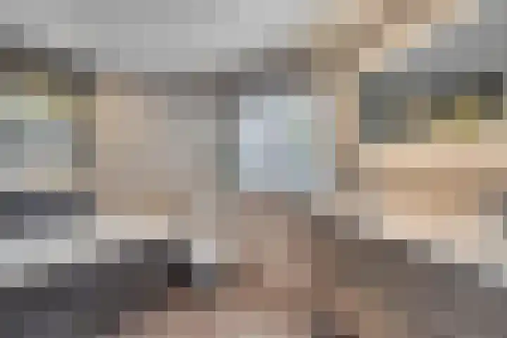 Cornelis Matersweg 27 Beverwijk thumbnail 12