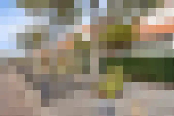 Cornelis Matersweg 27 Beverwijk thumbnail 28