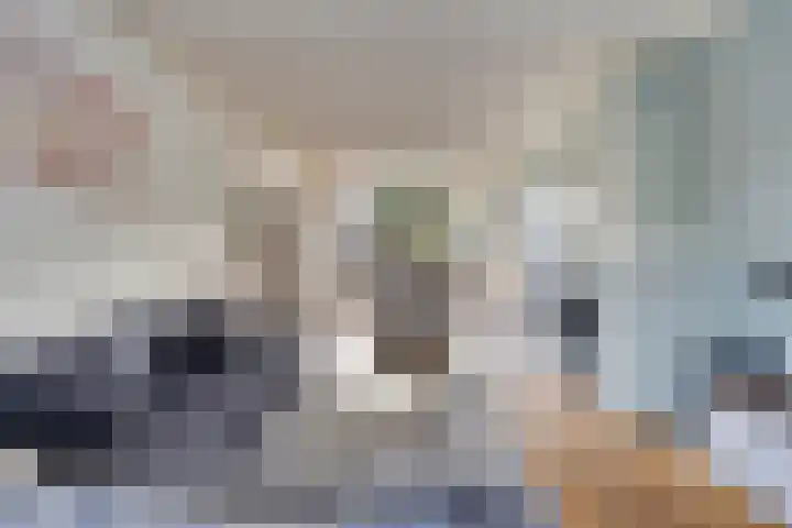 Cornelis Matersweg 27 Beverwijk thumbnail 4