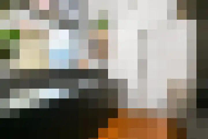 Cornelis Matersweg 69 Beverwijk thumbnail 15