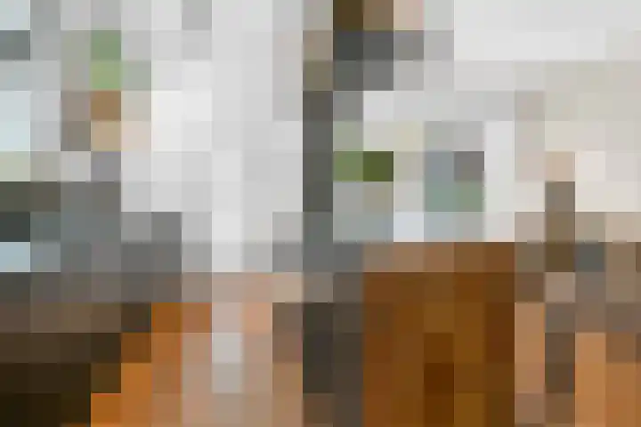 Cornelis Matersweg 69 Beverwijk thumbnail 18