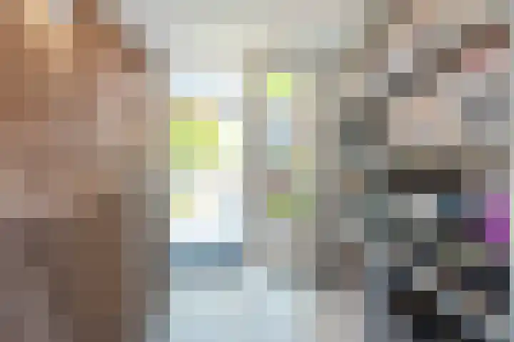 Cornelis Matersweg 69 Beverwijk thumbnail 34