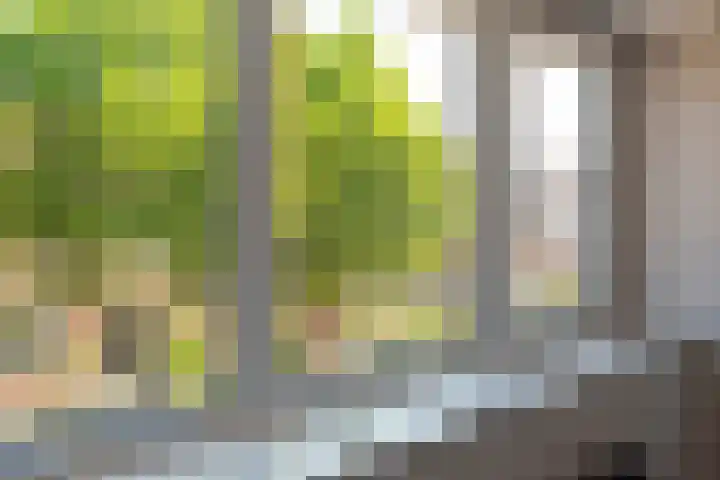 Cornelis Matersweg 69 Beverwijk thumbnail 36