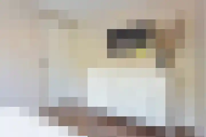 Cornelis Matersweg 69 Beverwijk thumbnail 37