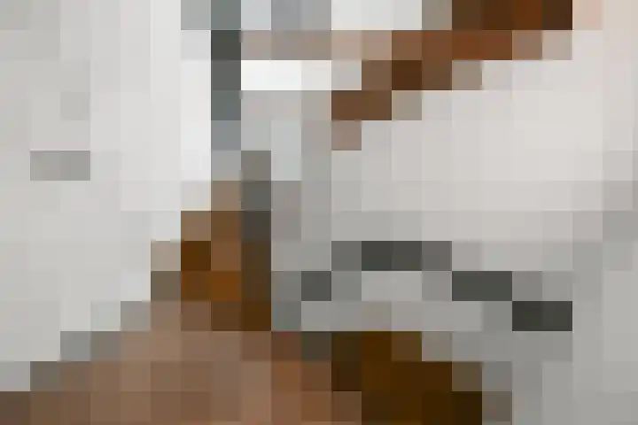 Cornelis Matersweg 69 Beverwijk thumbnail 50