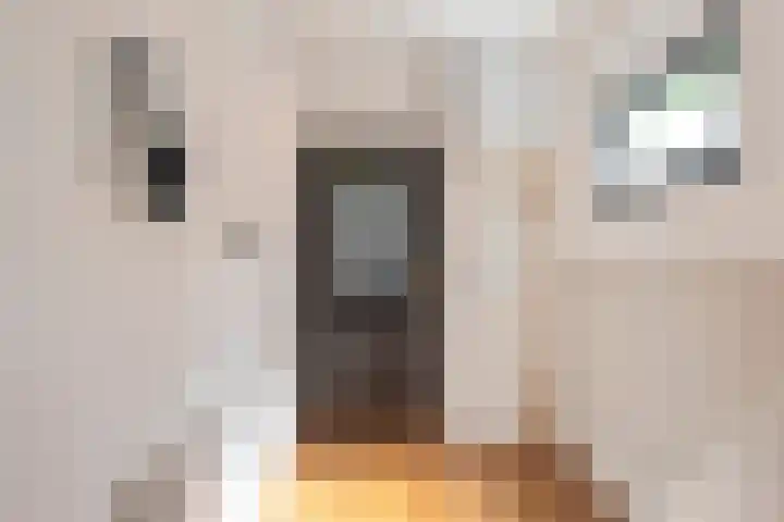 Cornelis Matersweg 69 Beverwijk thumbnail 6