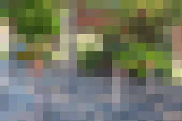 Cornelis Matersweg 69 Beverwijk thumbnail 60