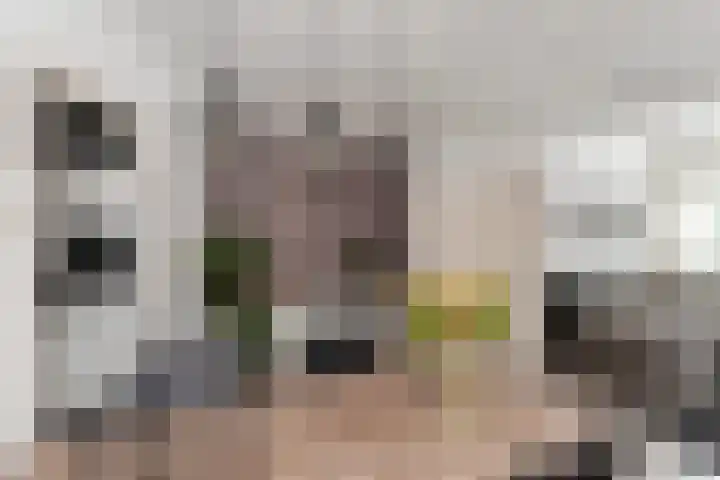 Cornelis Smitstraat 46 Alblasserdam thumbnail 11