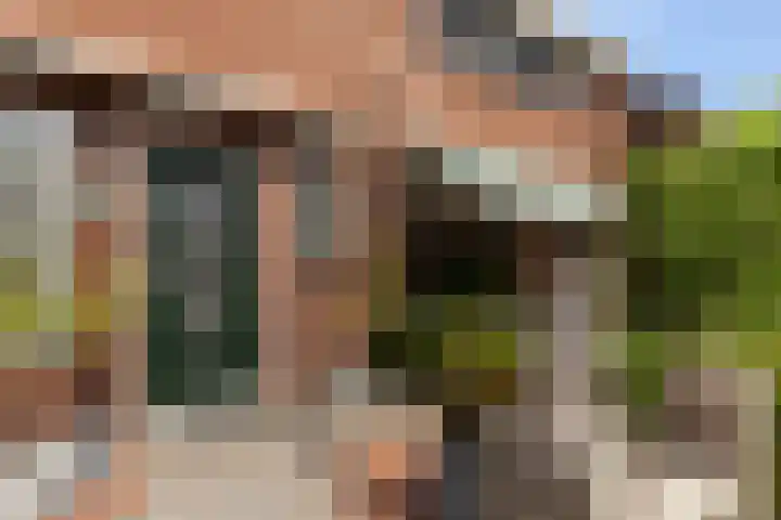 Cornelis Smitstraat 46 Alblasserdam thumbnail 4