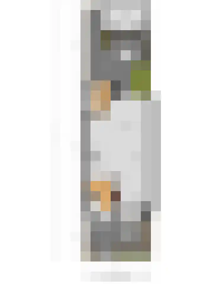 Cornelis Spronghplantsoen 35 Hoogmade thumbnail 30