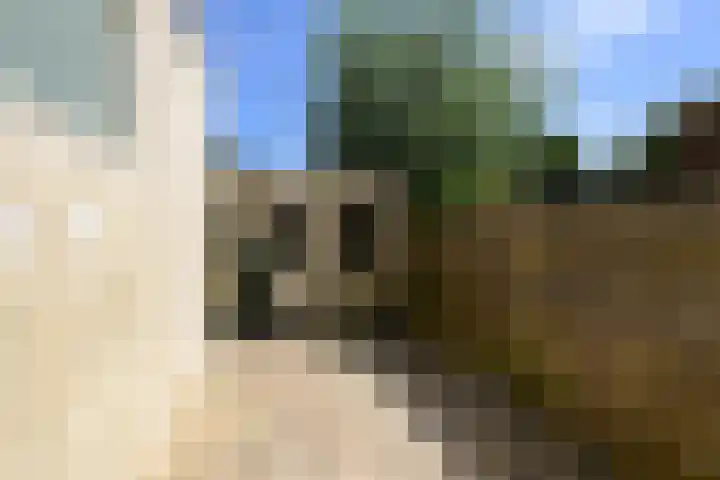 Cornelis Trompstraat 18 Delft thumbnail 22