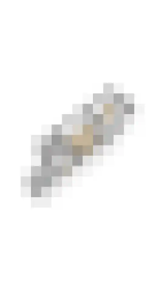Cornelis Trompstraat 18 Delft thumbnail 35