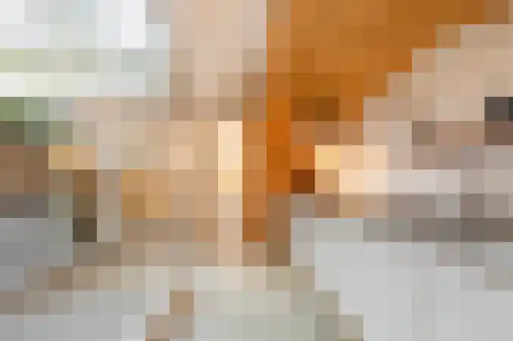 Cornelis Trooststraat 37 3 Amsterdam thumbnail 10